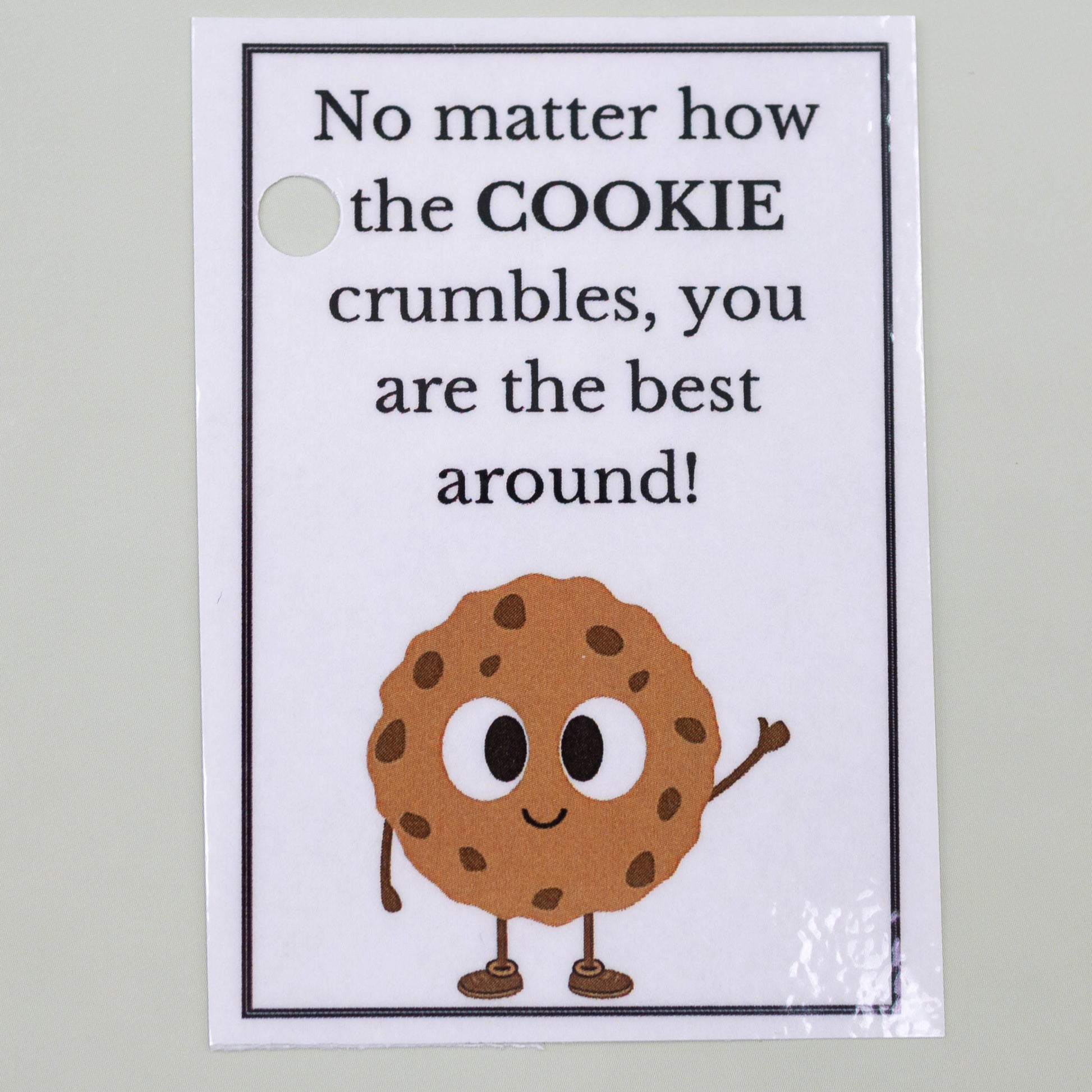 Chocolate Chip Cookie Crochet Plush Toy – 4Stitches Designs LLC